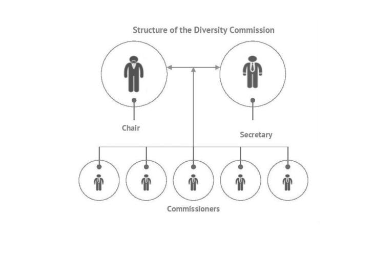 structure of the diversity commission